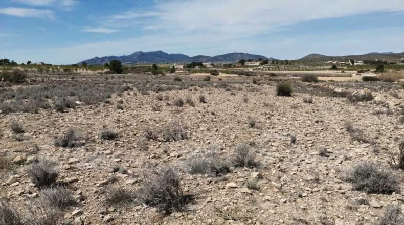 Alicante - Paredón - 11000m2