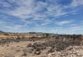 Non-developable land for sale in Pinoso ref: TR111109 photo