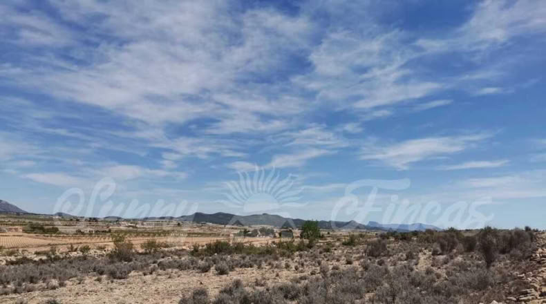 Alicante - Paredón - 11000m2