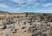 Non-developable land for sale in Pinoso ref: TR111109 photo