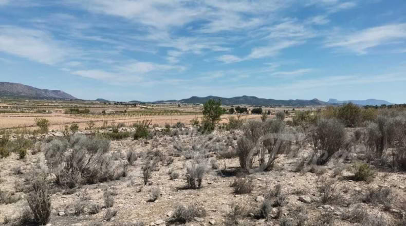 Alicante - Paredón - 11000m2