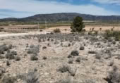 Non-developable land for sale in Pinoso ref: TR111109 photo