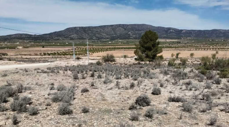 Alicante - Paredón - 11000m2