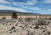 Non-developable land for sale in Pinoso ref: TR111109 photo