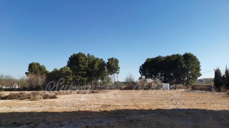 Alicante - Casas de Menor - 8000m2