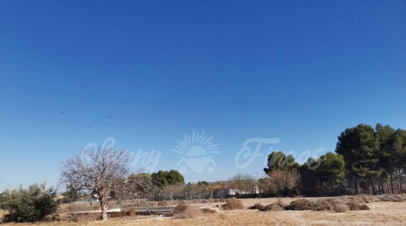 Alicante - Casas de Menor - 8000m2