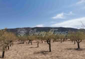 Non-developable land for sale in Biar ref: TR111108 photo