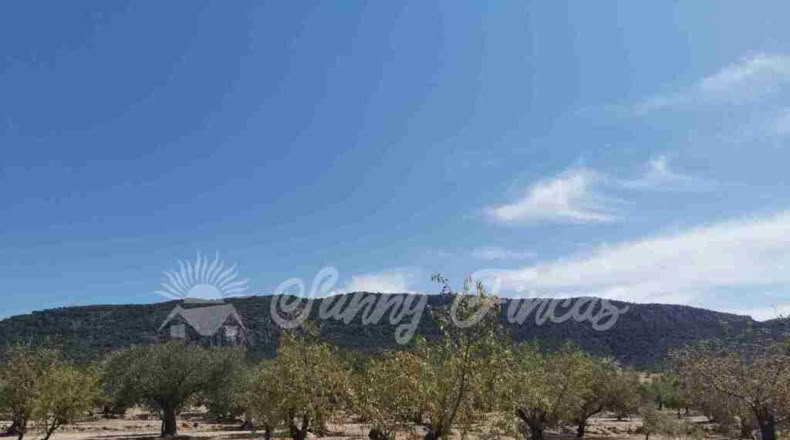 Alicante - Biar - 10000m2