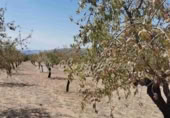 Non-developable land for sale in Biar ref: TR111108 photo
