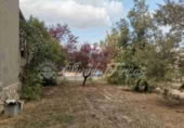 Xalet independent amb terreny en venda a la Canyada ref.: TR225119 foto