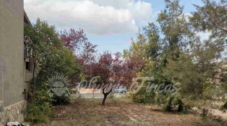 Alicante - Cañada - 1100m2