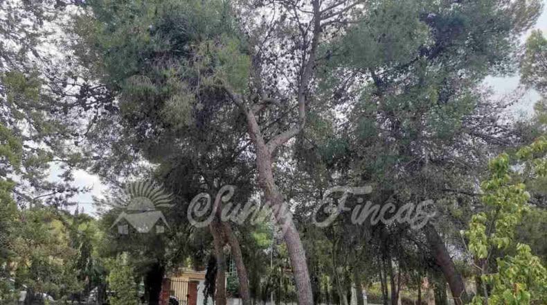 Alicante - Cañada - 1100m2