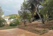 Xalet independent amb terreny en venda a la Canyada ref.: TR225119 foto