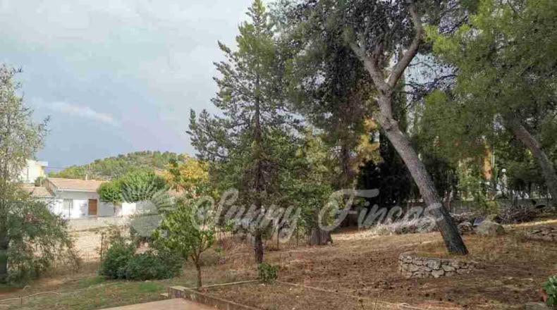 Alicante - Cañada - 1100m2