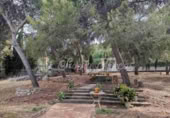 Xalet independent amb terreny en venda a la Canyada ref.: TR225119 foto