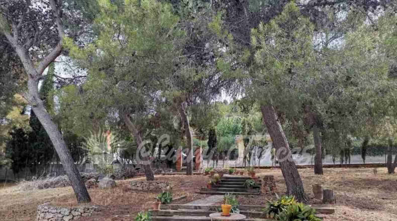 Alicante - Cañada - 1100m2