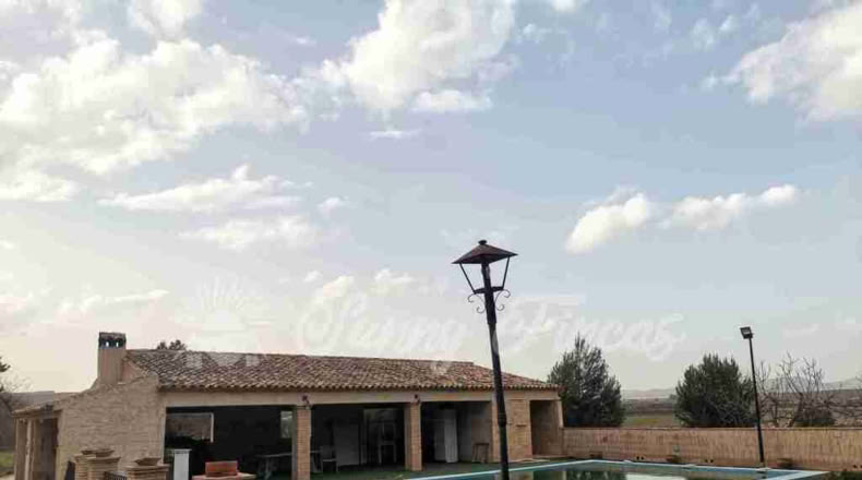 Murcia - Yecla - 20000m2