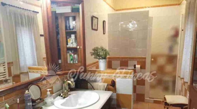 Murcia - Yecla - 20000m2