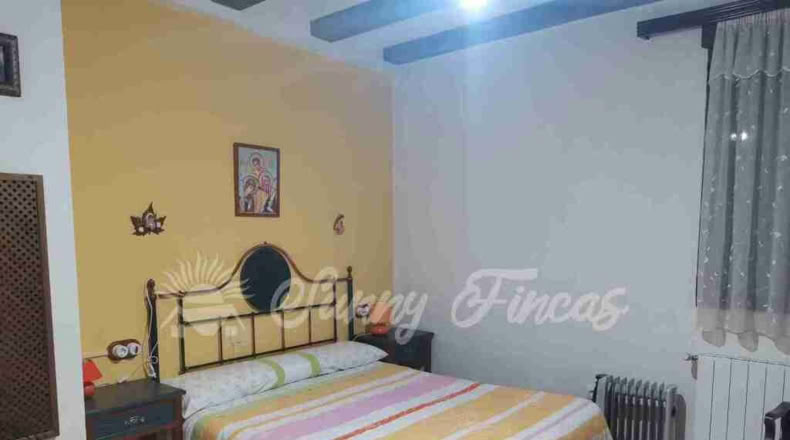 Murcia - Yecla - 20000m2