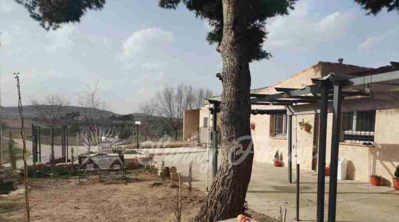 Murcia - Yecla - 20000m2