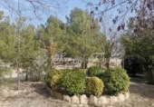 Masia amb terreny en venda a Iecla ref.: TR200912 foto