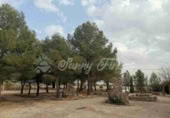 Masia amb terreny en venda a Iecla ref.: TR200912 foto