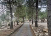 Masia amb terreny en venda a Iecla ref.: TR200912 foto