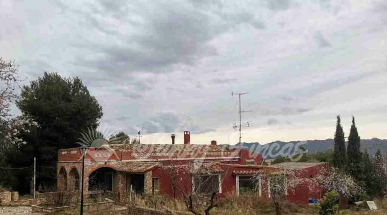 Murcia - Yecla - 3600m2