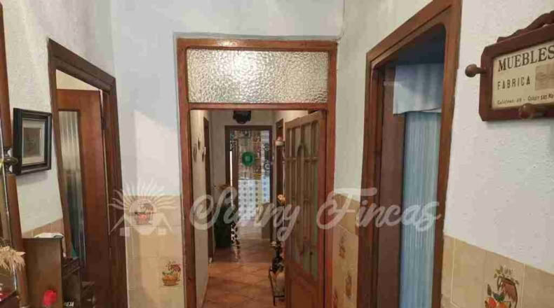 Murcia - Yecla - 3600m2