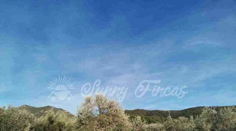 Alicante - Biar - 11000m2