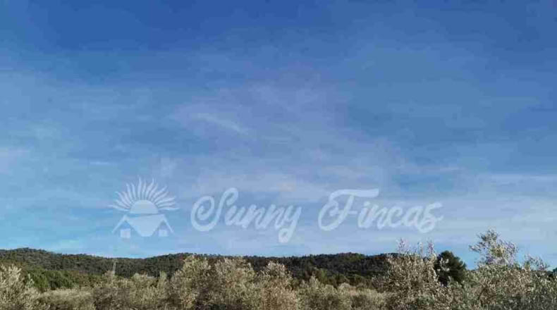 Alicante - Biar - 11000m2
