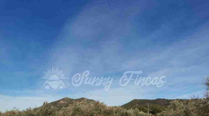 Alicante - Biar - 11000m2