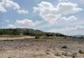 Terreny no urbanitzable en venda a Iecla ref.: TR111106 foto