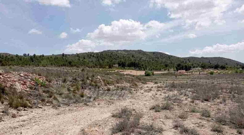 Murcia - Yecla - 21000m2