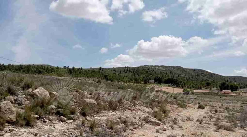 Murcia - Yecla - 21000m2