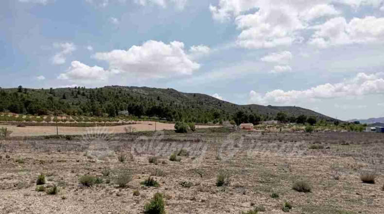 Murcia - Yecla - 21000m2