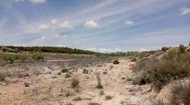 Murcia - Yecla - 21000m2