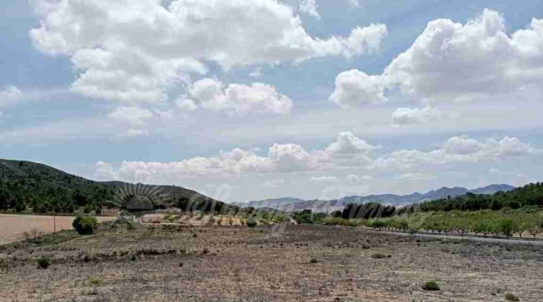 Murcia - Yecla - 21000m2
