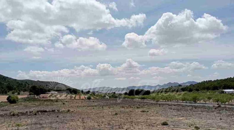 Murcia - Yecla - 21000m2