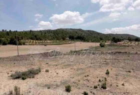 Foto 9
