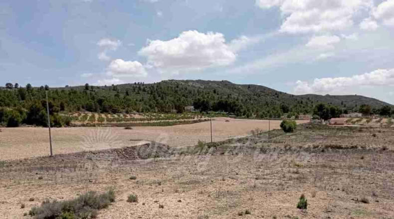 Murcia - Yecla - 21000m2