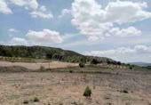 Terreny no urbanitzable en venda a Iecla ref.: TR111106 foto