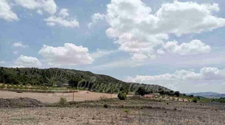 Murcia - Yecla - 21000m2