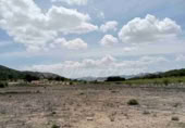 Terreny no urbanitzable en venda a Iecla ref.: TR111106 foto