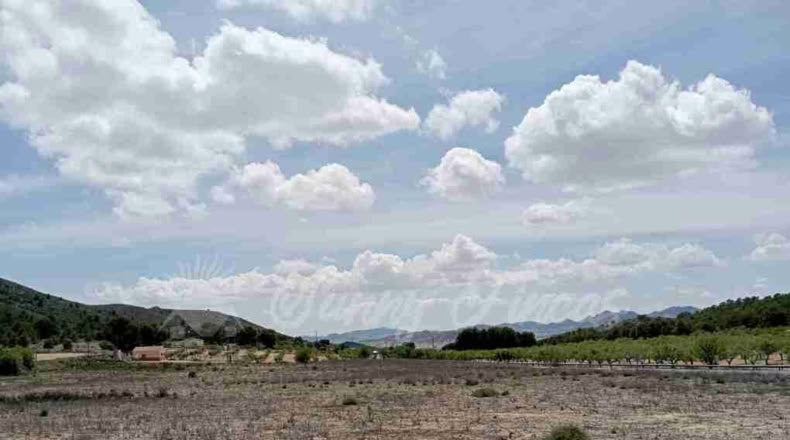 Murcia - Yecla - 21000m2