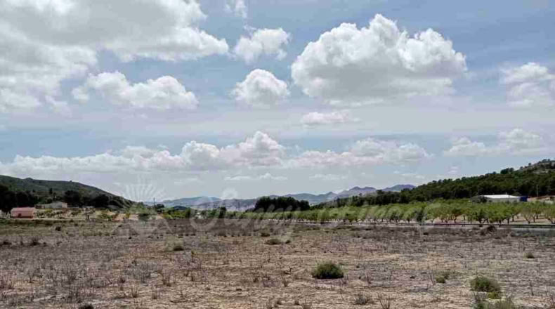 Murcia - Yecla - 21000m2