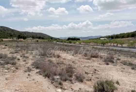 Foto 15