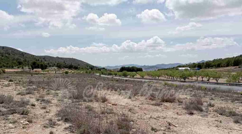 Murcia - Yecla - 21000m2