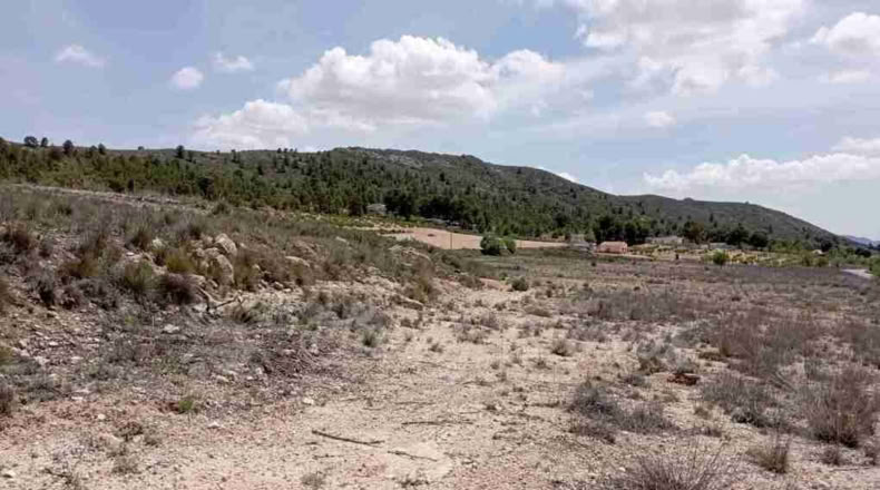Murcia - Yecla - 21000m2
