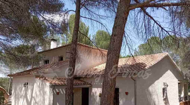 Valencia - Ayora - 4200m2